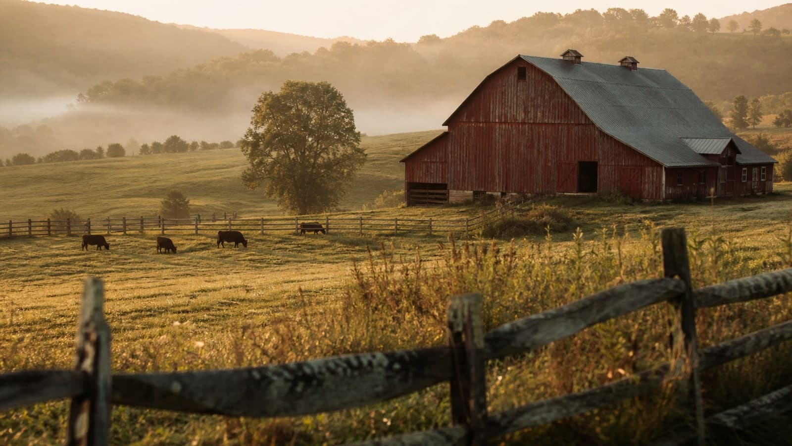 Why Saltbox Gives Back to Farmer Veterans